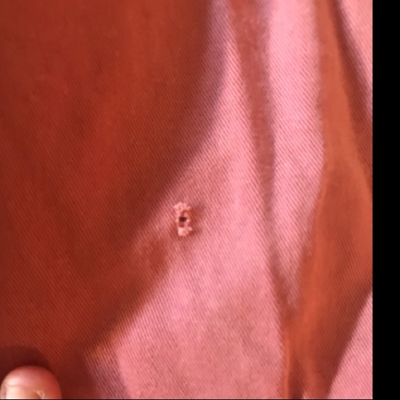 Salmon colored American Eagle shorts - Picture 3 of 3